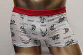 Cute print shorts boxer for  mens underwear